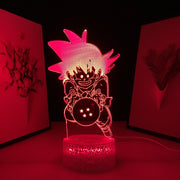 Acrylic 3D LED Lamp Anime Figure Neon Lights Atmosphere Lamp for Child USB Link Charging Color Change With Remote Control