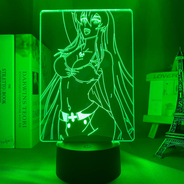 Led Night Light Akame Ga Kill Esdeath 3d Lamp Anime for Room Decor Nightlight Kid Child Birthday Gift Akame Ga Kill Esdese Light